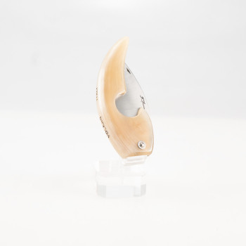 TAGLIASIGARI VOLKAN PATADA...