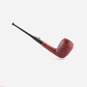 PIPA L'ANATRA SABBIATA RHODESIAN