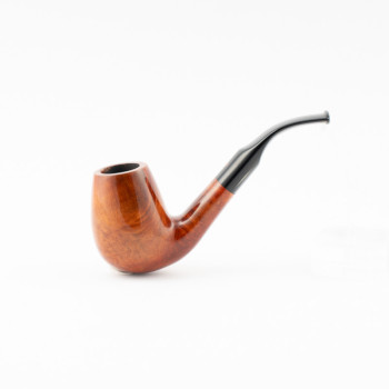 PIPA RODATA BARONTINI...