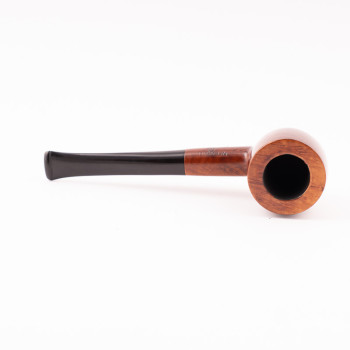 PIPA RODATA NEGARVILLE SELECTED GRAIN 1359 POT