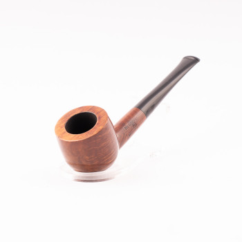 PIPA RODATA NEGARVILLE SELECTED GRAIN 1359 POT